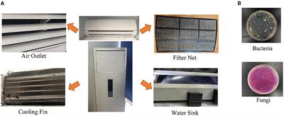 Bacterial contamination in the different parts of household air conditioners: a comprehensive evaluation from Chengdu, Southwest China